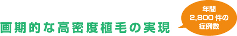 画期的な高密度植毛の実現